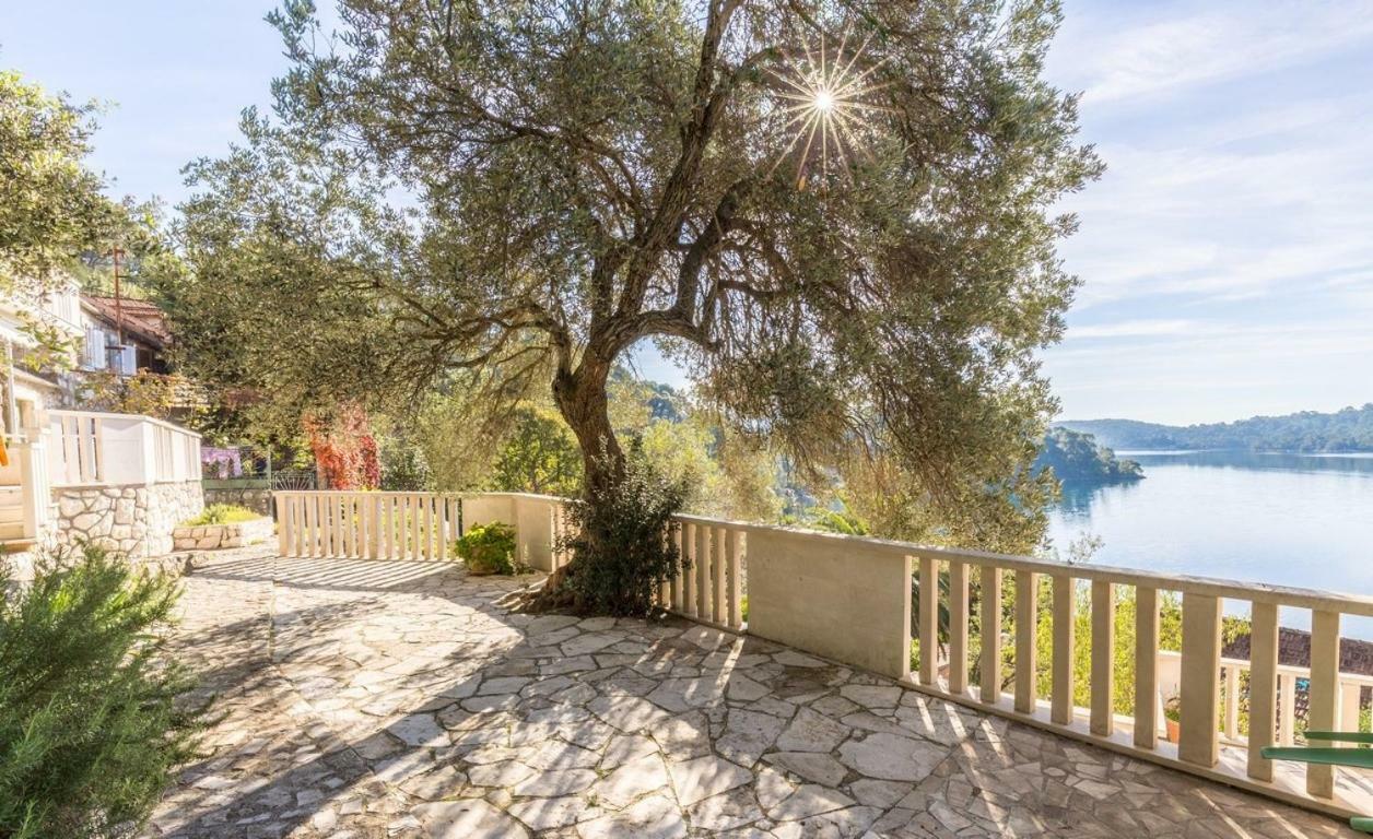 Pansion Mali Raj Διαμέρισμα Goveđari Εξωτερικό φωτογραφία